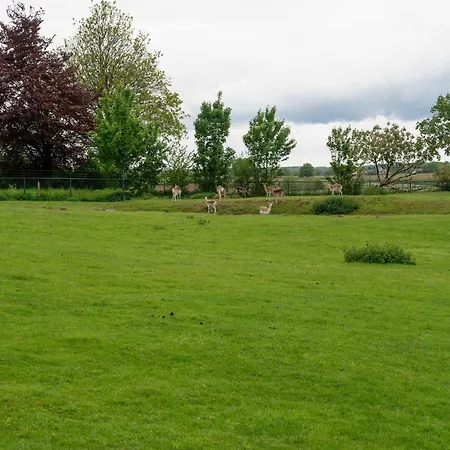 Pleasant Near Valkenburg *