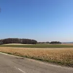 Pleasant Near Valkenburg Voerendaal